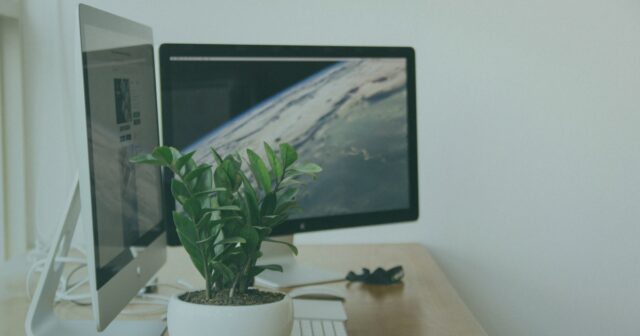 How-to-Be-More-Sustainable-as-a-Freelancer_24F_.jpg