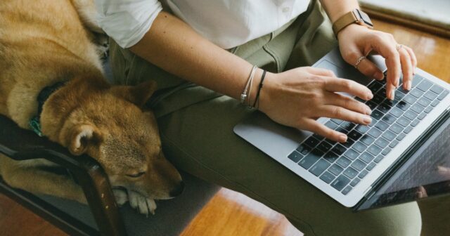 How-to-Captivate-Your-Readers-with-Sensory-Language_24F_.jpg